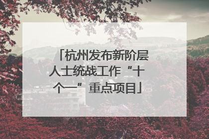 杭州发布新阶层人士统战工作“十个一”重点项目