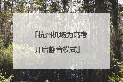 杭州机场为高考开启静音模式