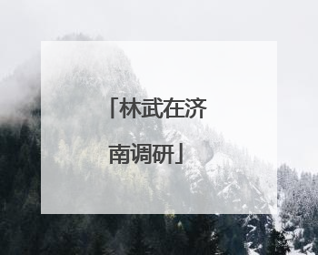 林武在济南调研