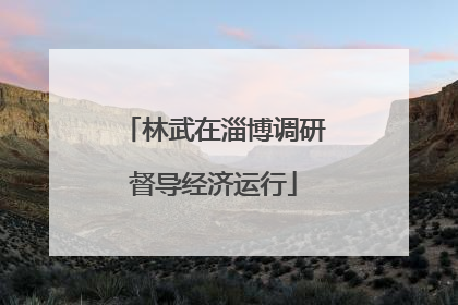 林武在淄博调研督导经济运行
