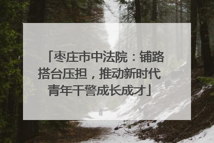 枣庄市中法院：铺路搭台压担，推动新时代青年干警成长成才