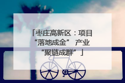 枣庄高新区：项目“落地成金” 产业“聚链成群”