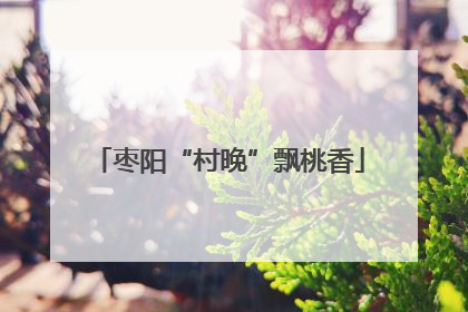 枣阳“村晚”飘桃香