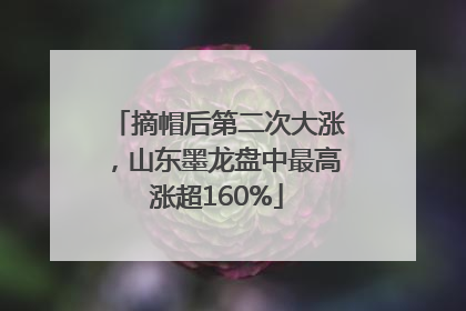 摘帽后第二次大涨，山东墨龙盘中最高涨超160%
