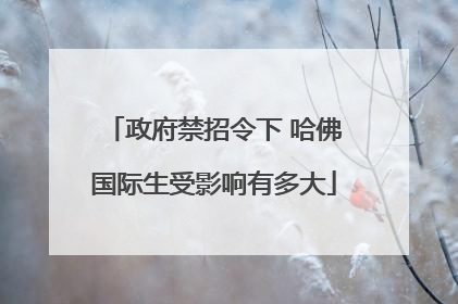 政府禁招令下 哈佛国际生受影响有多大