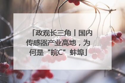 政观长三角丨国内传感器产业高地，为何是“皖C”蚌埠
