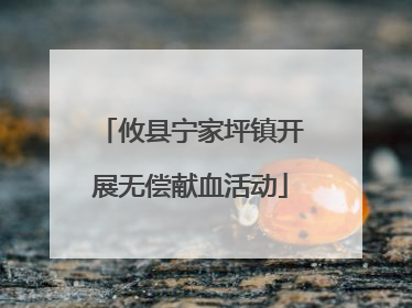 攸县宁家坪镇开展无偿献血活动