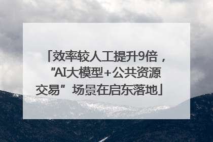 效率较人工提升9倍，“AI大模型+公共资源交易”场景在启东落地