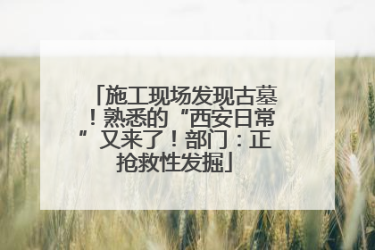 施工现场发现古墓！熟悉的“西安日常”又来了！部门：正抢救性发掘