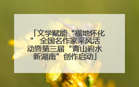 文学赋能“福地怀化” 全国名作家采风活动暨第三届“青山碧水新湖南”创作启动