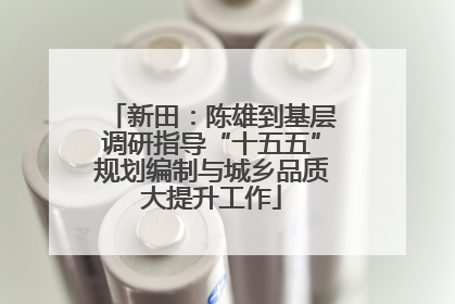 新田：陈雄到基层调研指导“十五五”规划编制与城乡品质大提升工作