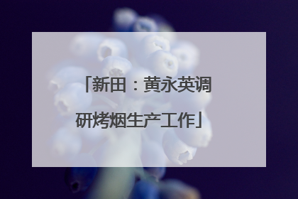 新田：黄永英调研烤烟生产工作