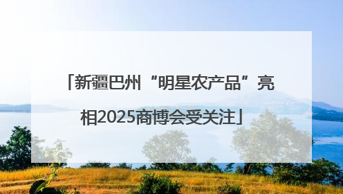 新疆巴州“明星农产品”亮相2025商博会受关注