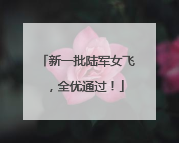 新一批陆军女飞，全优通过！
