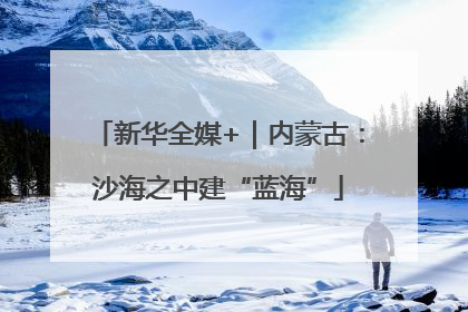新华全媒+｜内蒙古：沙海之中建“蓝海”