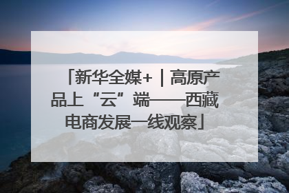 新华全媒+｜高原产品上“云”端——西藏电商发展一线观察