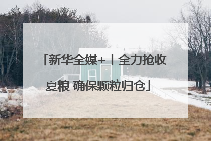新华全媒+丨全力抢收夏粮 确保颗粒归仓