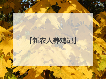 新农人养鸡记