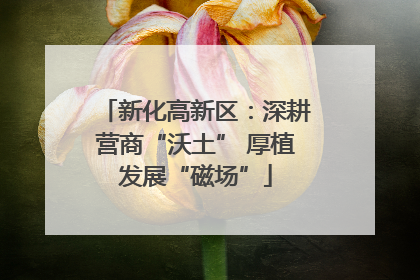 新化高新区：深耕营商“沃土” 厚植发展“磁场”