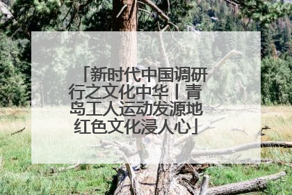 新时代中国调研行之文化中华丨青岛工人运动发源地红色文化浸人心