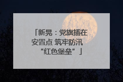 新晃：党旗插在安置点 筑牢防汛“红色堡垒”