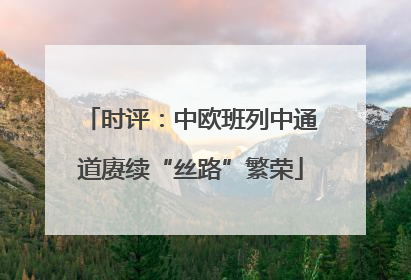 时评：中欧班列中通道赓续“丝路”繁荣