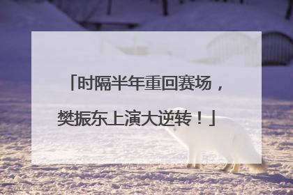 时隔半年重回赛场，樊振东上演大逆转！
