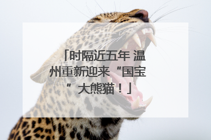 时隔近五年 温州重新迎来“国宝”大熊猫！