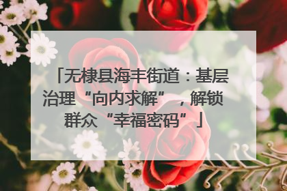 无棣县海丰街道：基层治理“向内求解”，解锁群众“幸福密码”
