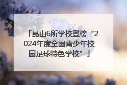 昆山6所学校登榜“2024年度全国青少年校园足球特色学校”