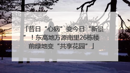 昔日“心病”变今日“新景”！东高地万源南里26栋楼前绿地变“共享花园”