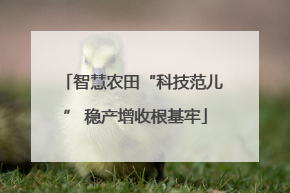 智慧农田“科技范儿” 稳产增收根基牢