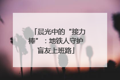 晨光中的“接力棒”：地铁人守护盲友上班路