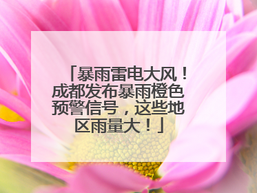 暴雨雷电大风！成都发布暴雨橙色预警信号，这些地区雨量大！