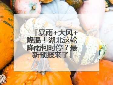 暴雨+大风+降温！湖北这轮降雨何时停？最新预报来了