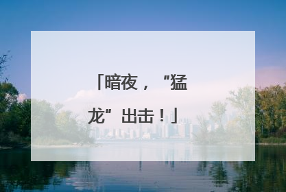 暗夜，“猛龙”出击！