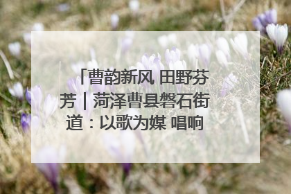 曹韵新风 田野芬芳｜菏泽曹县磐石街道：以歌为媒 唱响乡土“新歌声”