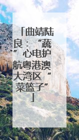 曲靖陆良：“蔬”心电护航粤港澳大湾区“菜篮子”