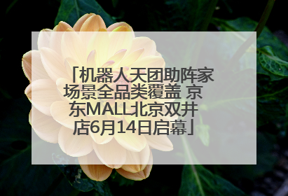 机器人天团助阵家场景全品类覆盖 京东MALL北京双井店6月14日启幕
