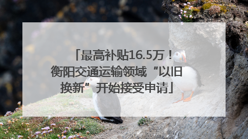 最高补贴16.5万！衡阳交通运输领域“以旧换新”开始接受申请