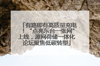 有路即有高质量充电！“点亮东台一张网”上线，源网荷储一体化论坛聚焦低碳转型