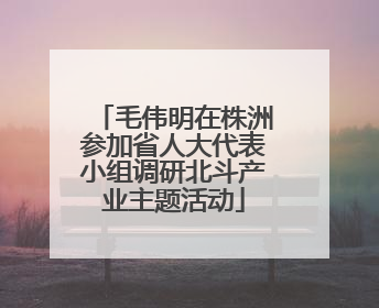 毛伟明在株洲参加省人大代表小组调研北斗产业主题活动