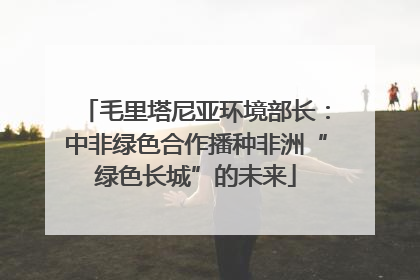 毛里塔尼亚环境部长：中非绿色合作播种非洲“绿色长城”的未来
