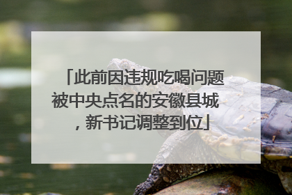 此前因违规吃喝问题被中央点名的安徽县城，新书记调整到位