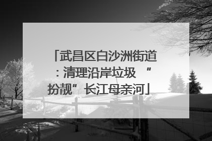 武昌区白沙洲街道：清理沿岸垃圾 “扮靓”长江母亲河