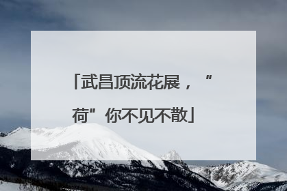 武昌顶流花展，“荷”你不见不散