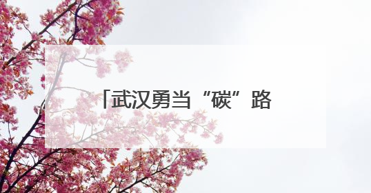 武汉勇当“碳”路先锋，把“双碳”目标装进市民手机