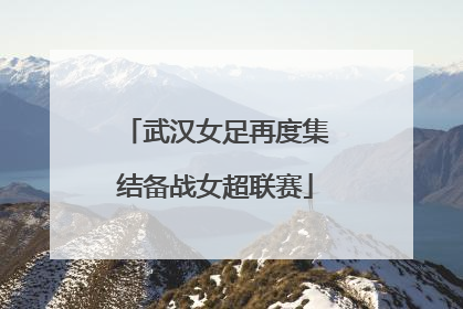 武汉女足再度集结备战女超联赛