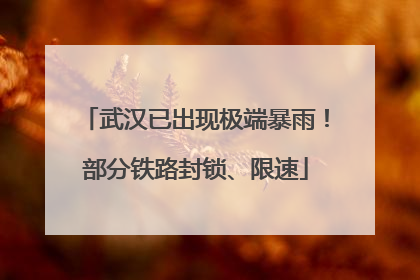 武汉已出现极端暴雨！部分铁路封锁、限速