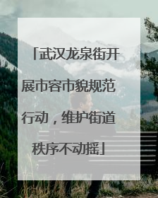 武汉龙泉街开展市容市貌规范行动，维护街道秩序不动摇